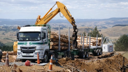 logging-cartage-supply-bay-of-plenty-matamata