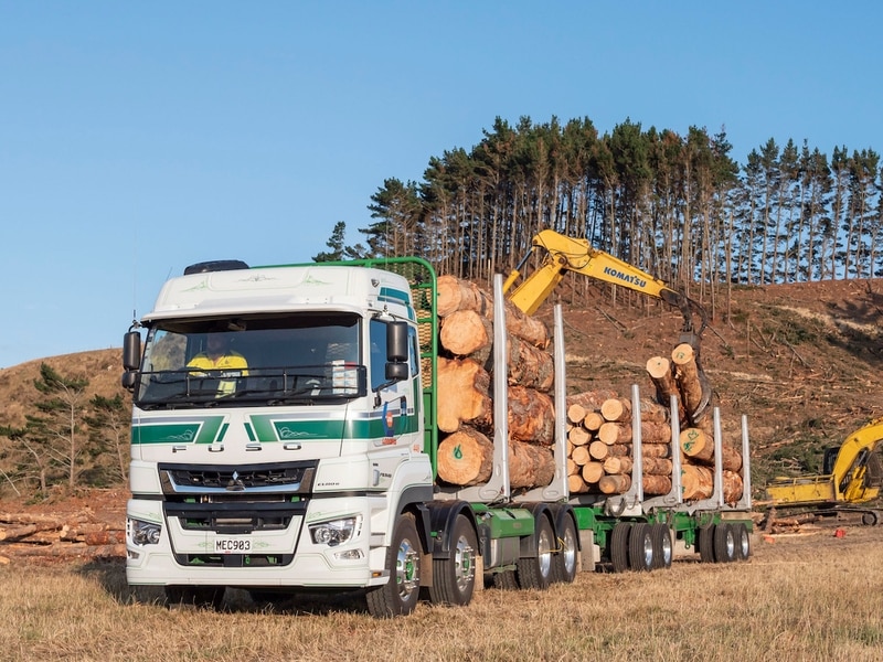 logging-forestry-services-health-and-safety-matamata-bay-of-plenty